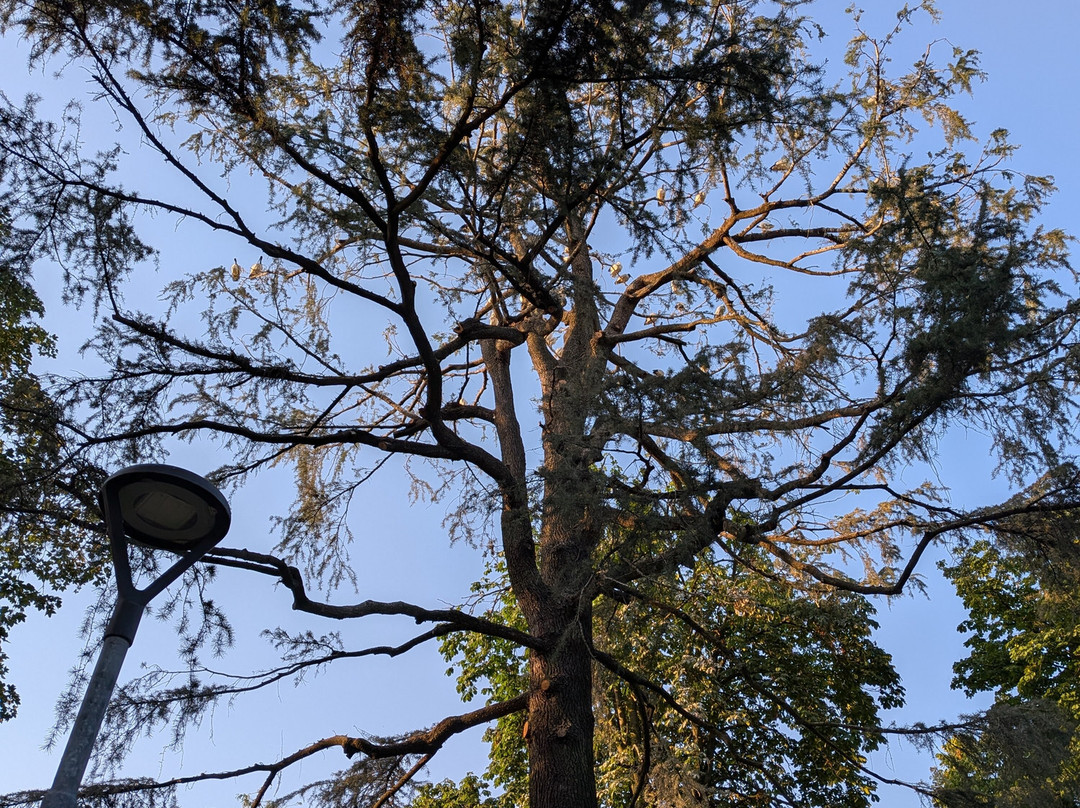 Parco Allea San Luca-诺瓦拉必去景点