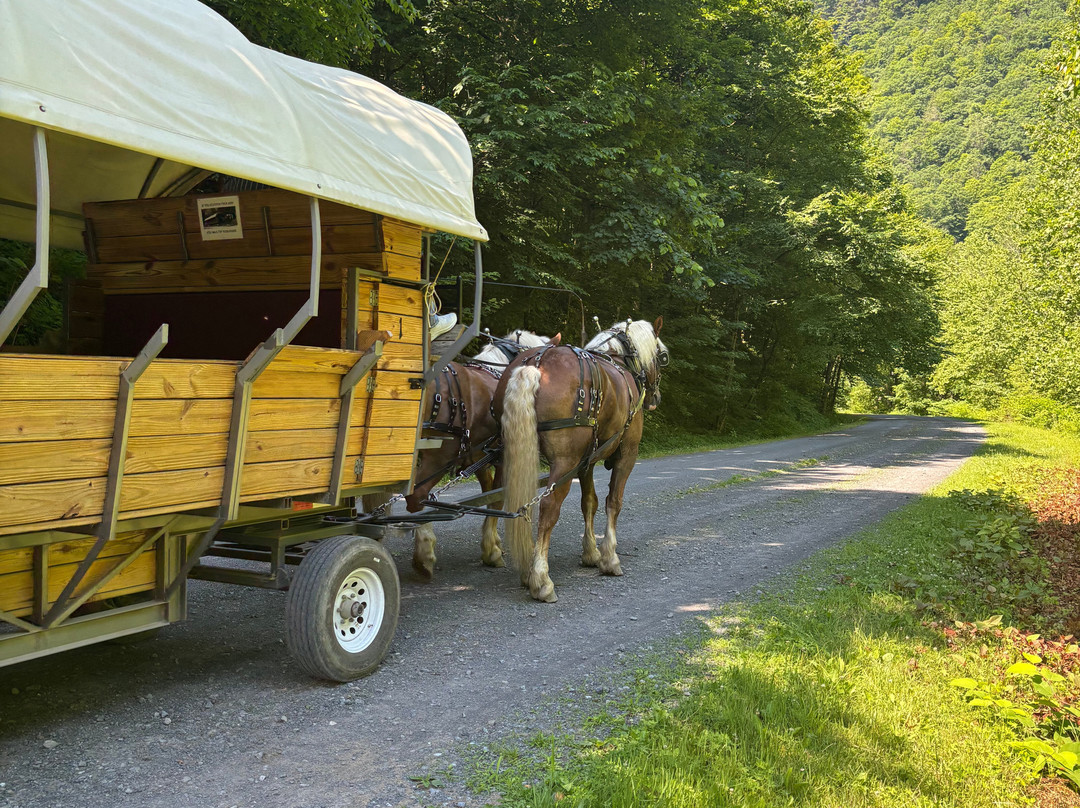 Ole Covered Wagon Tours-Wellsboro必去景点
