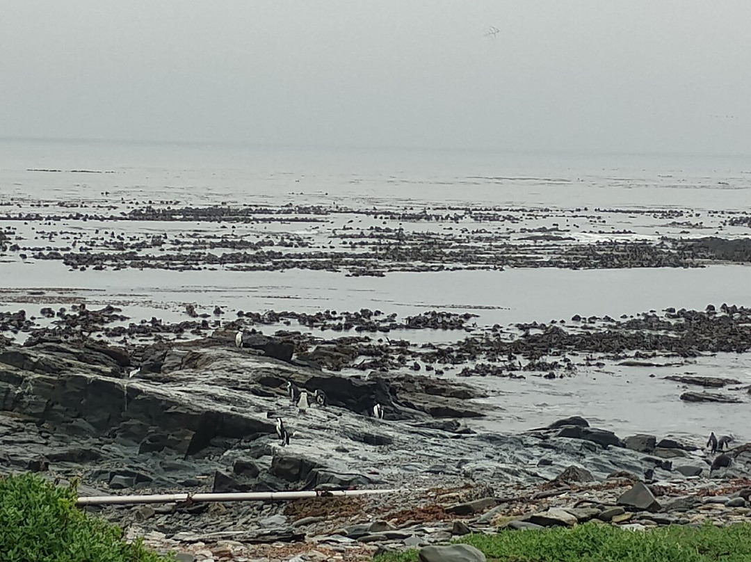罗本岛-开普敦中心区必去景点