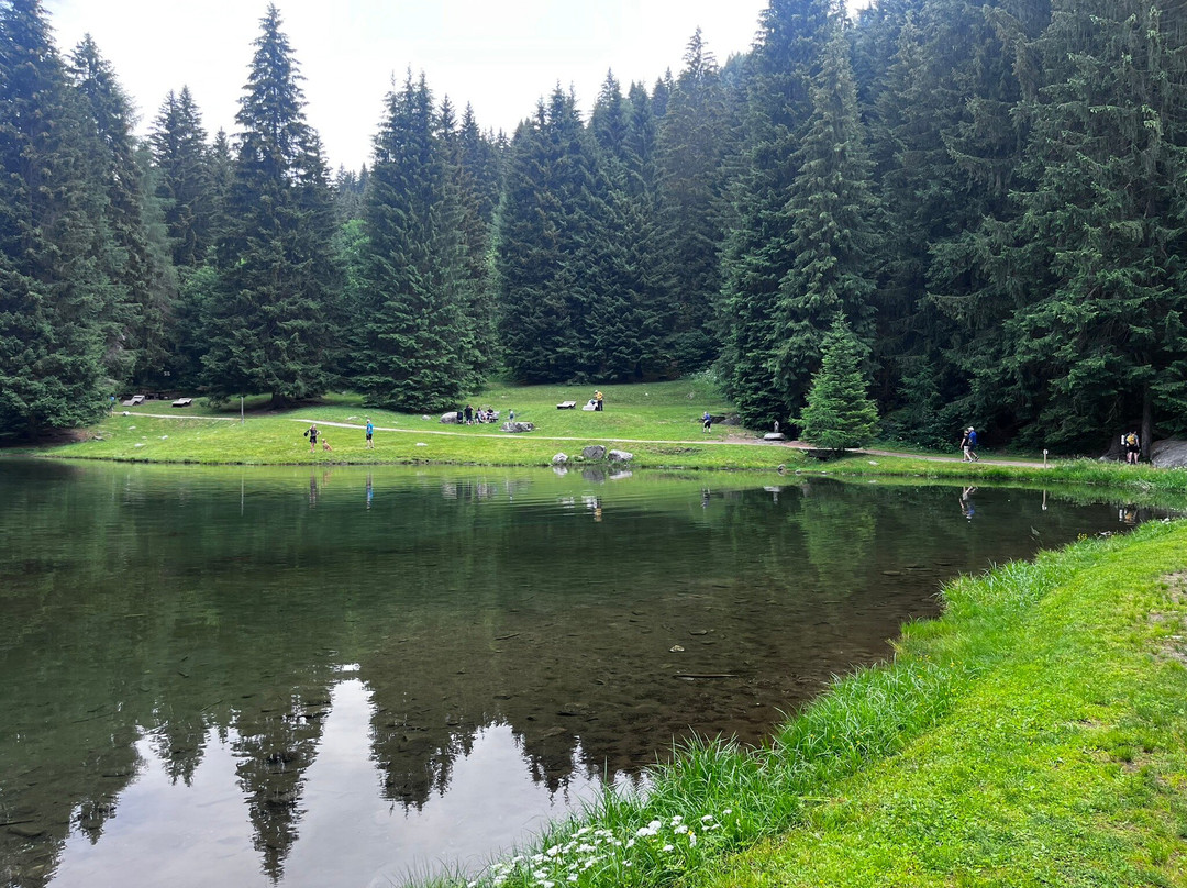 Lago dei Caprioli-Pellizzano必去景点