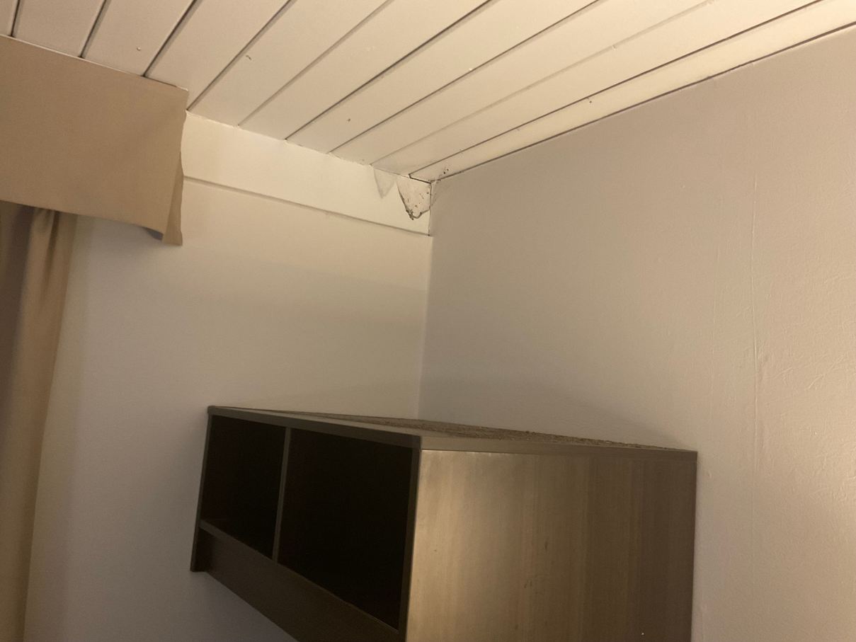 布罗克维尔贝斯特韦斯特SureStay酒店-客卧