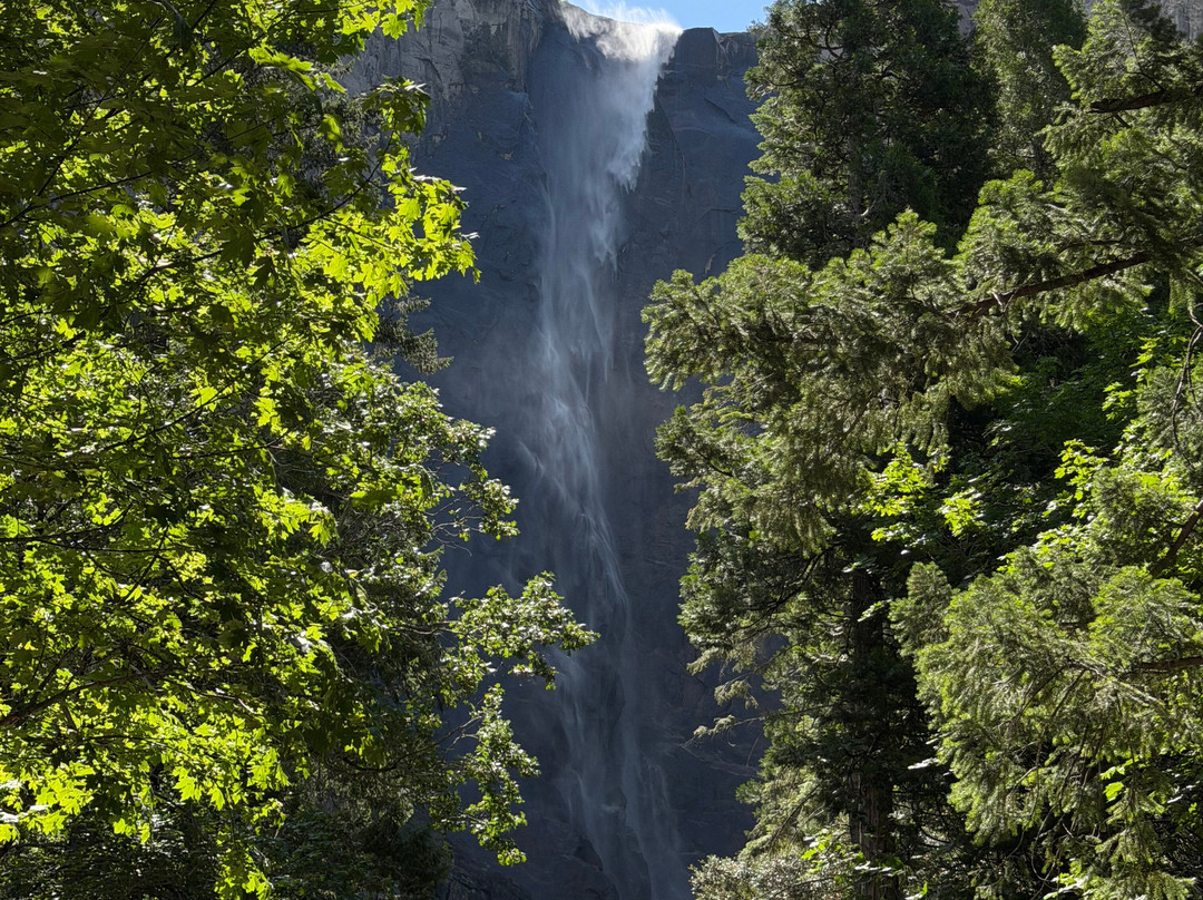 Yosemite 360 Tours-菲什营必去景点