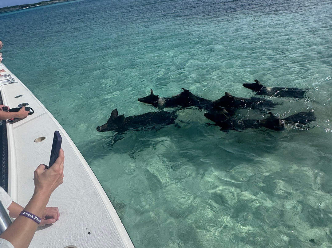 Exuma Water Sports-大埃克苏马必去景点