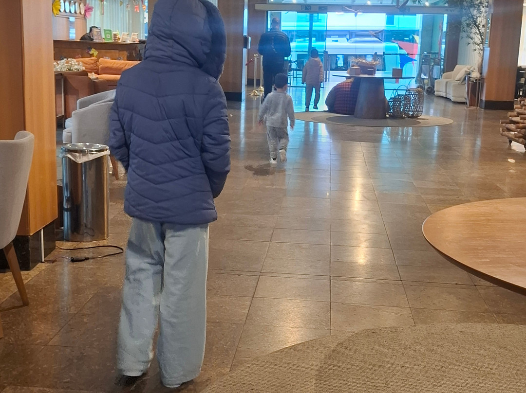 波苏斯-迪卡尔达斯国家旅馆主图