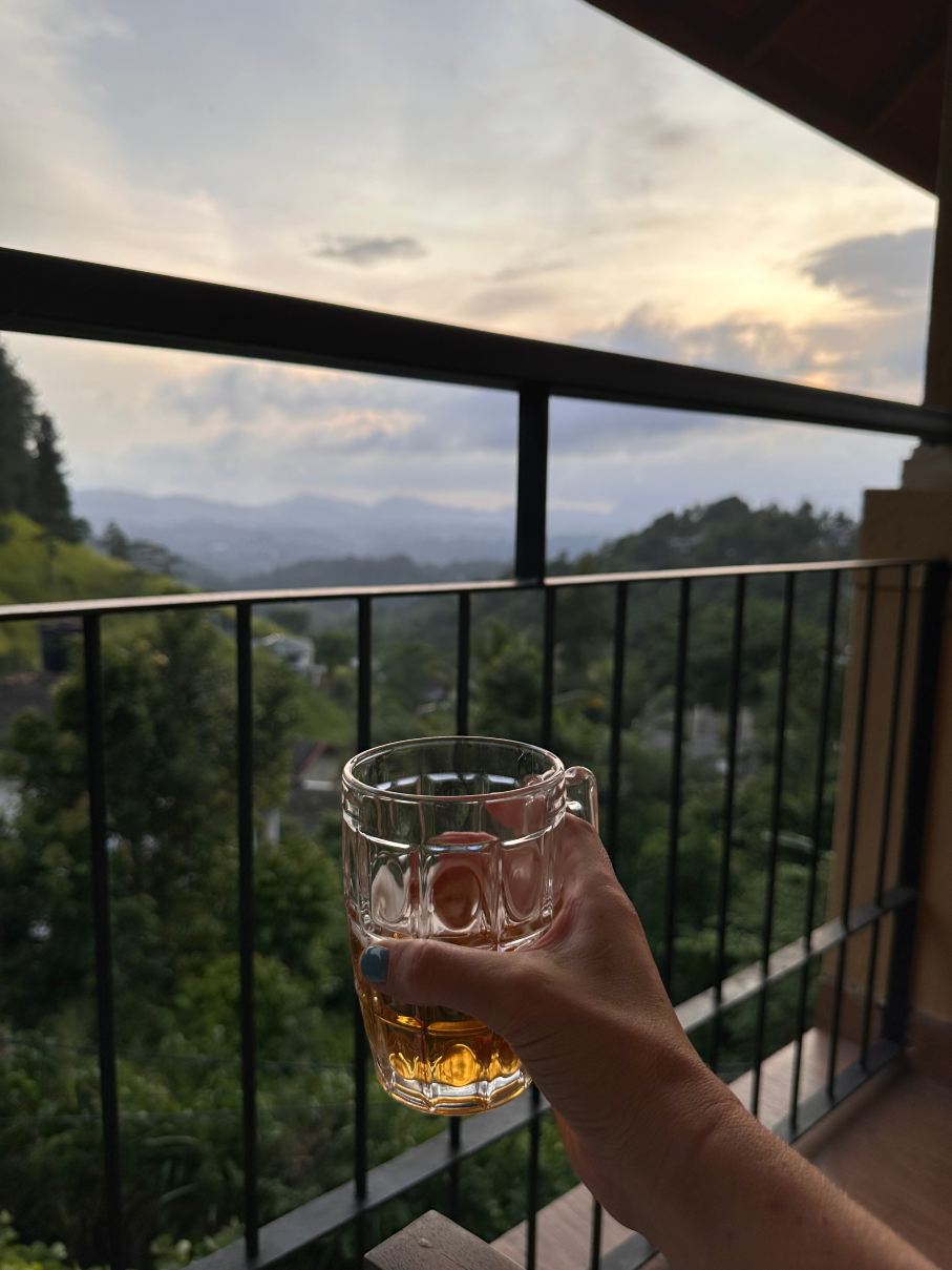 梅尔海姆康提别墅酒店-旅行者