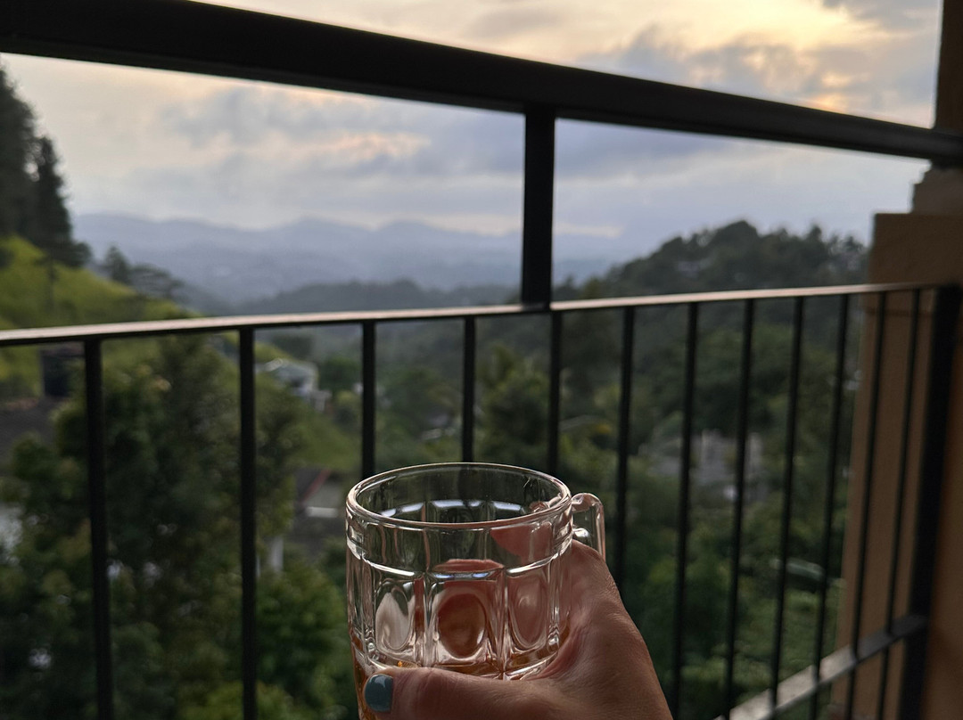 梅尔海姆康提别墅酒店主图