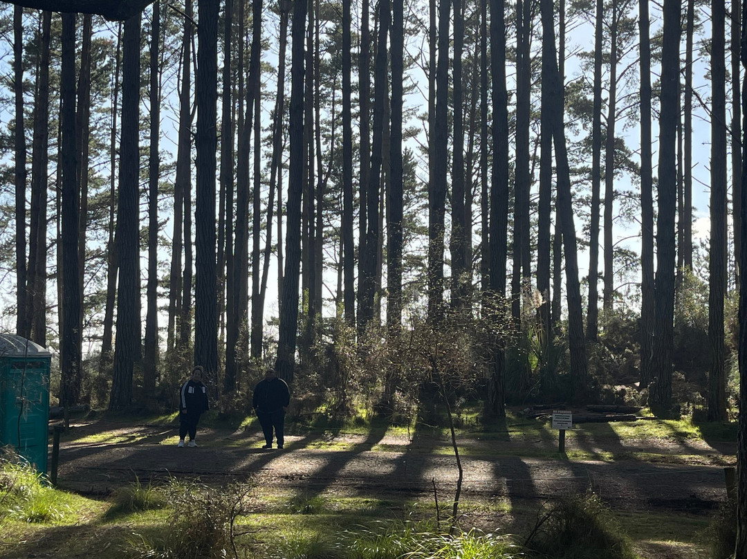 Tree Adventures-伍德山必去景点