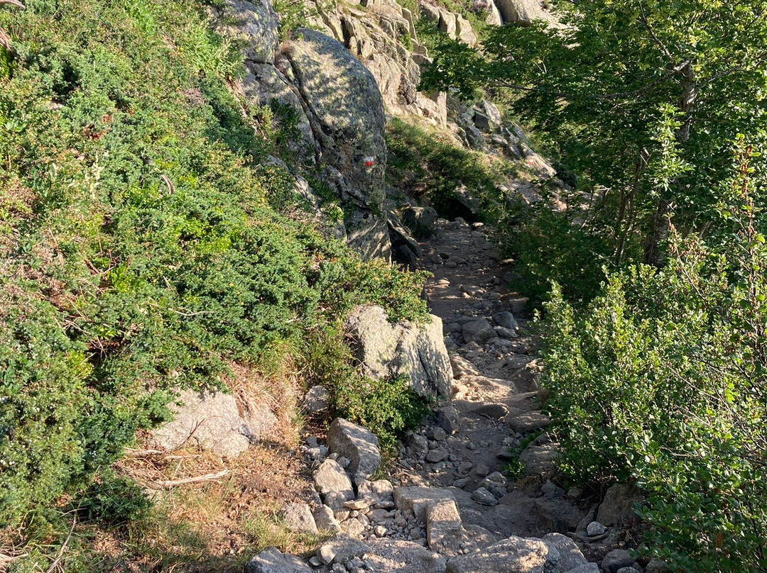 Corsica Natura-Bocognano必去景点
