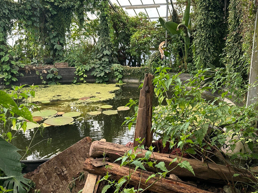 Ventnor Botanic Garden-文特诺必去景点