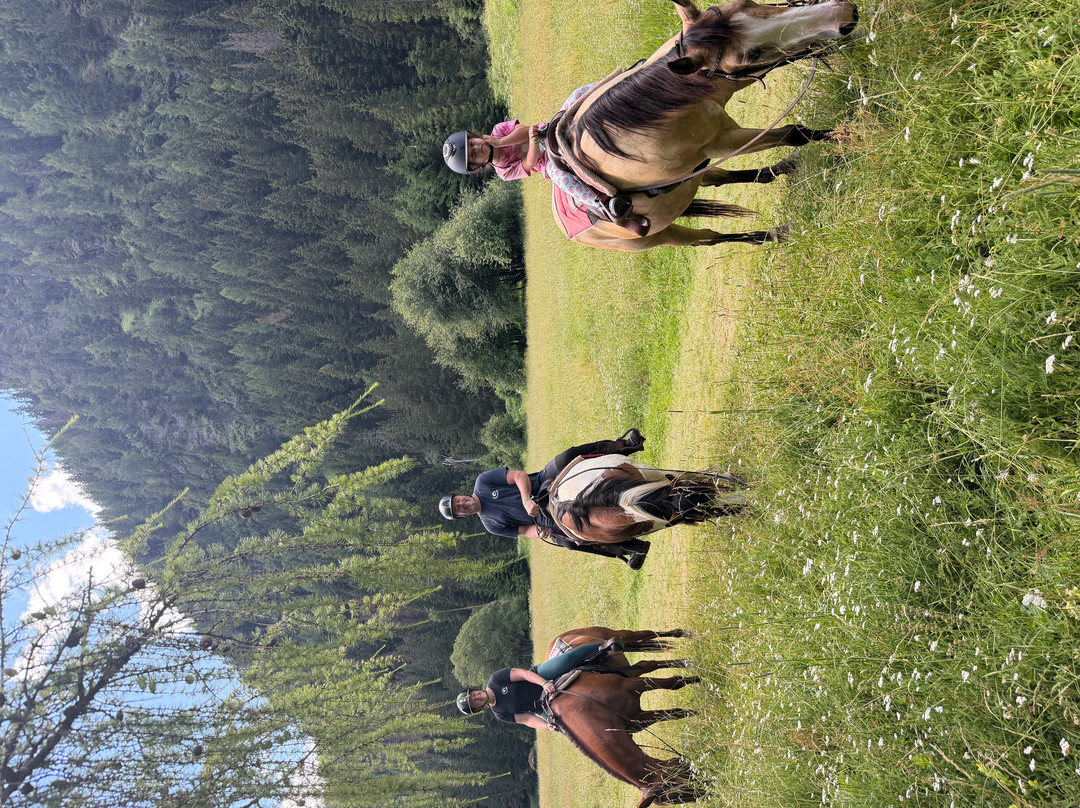 Charlotte Horse Riding-Campitello di Fassa必去景点