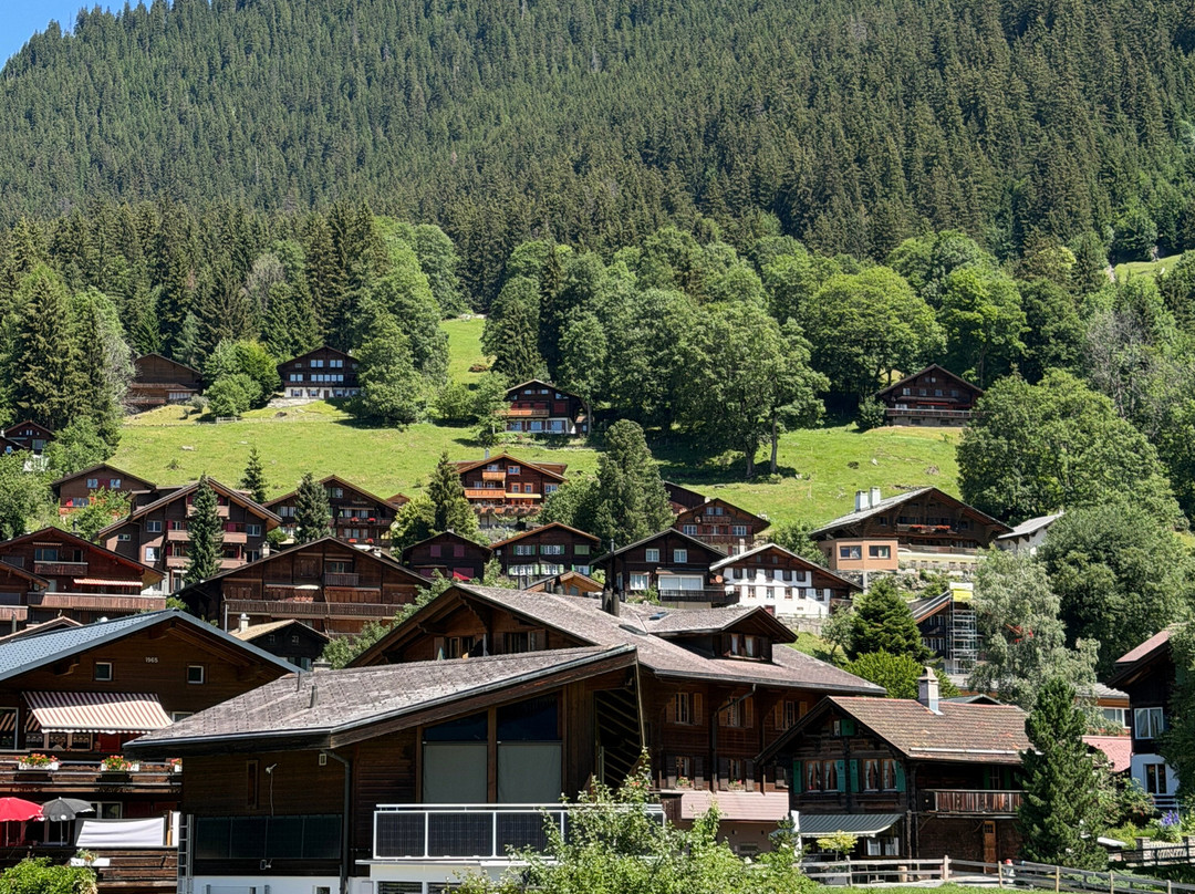 Luftseilbahn Wengen-Männlichen-翁根必去景点