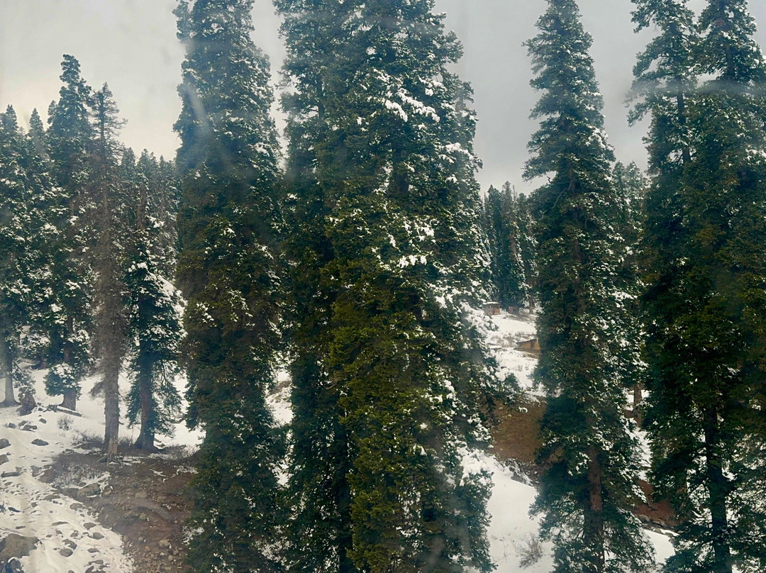 Gulmarg Gondola-贡马必去景点