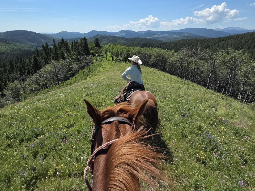 Anchor D Guiding & Outfitting-布莱克戴蒙德必去景点