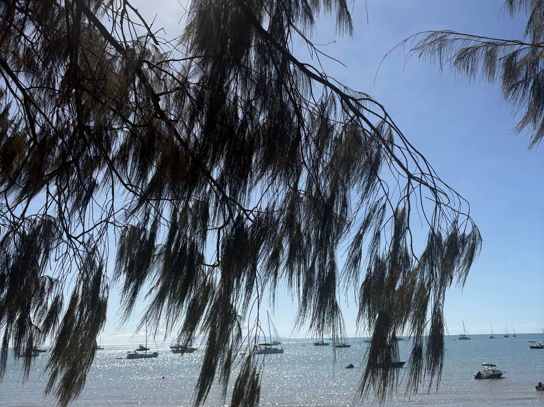 Magnetic Jet Ski Tours-Horseshoe Bay必去景点