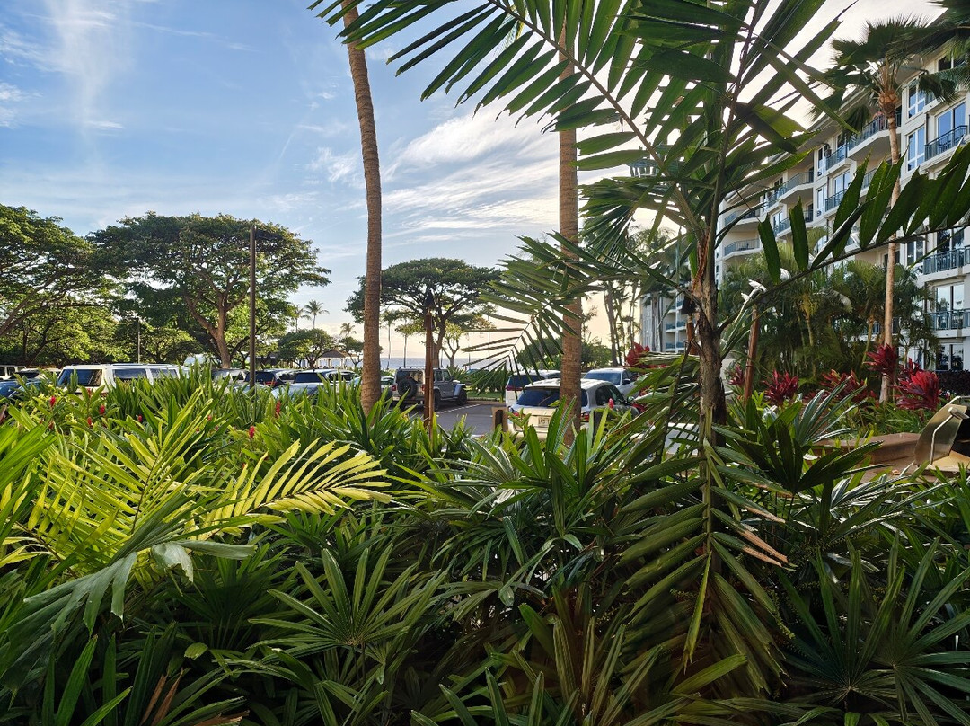 The Westin Ka'Anapali Ocean Resort Villas主图