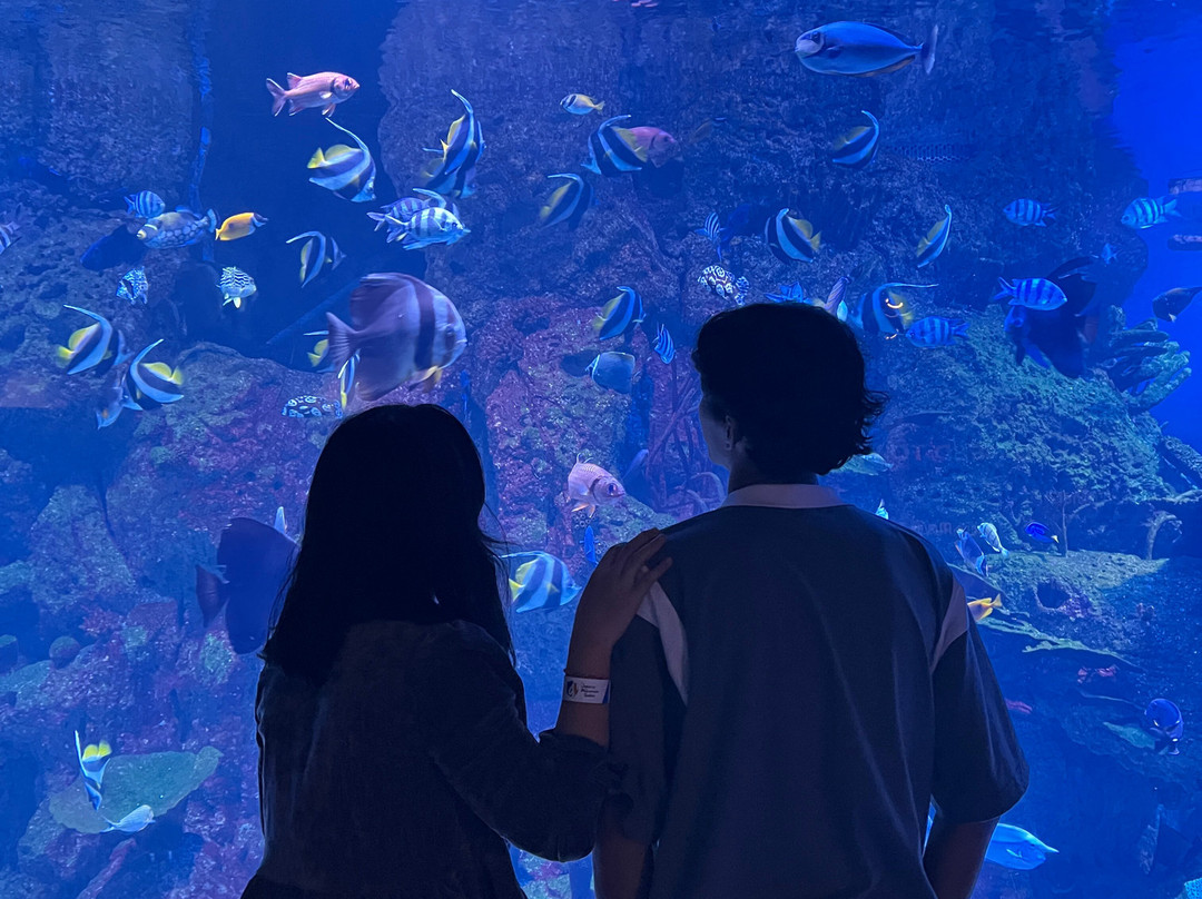 Jakarta Aquarium & Safari-雅加达必去景点
