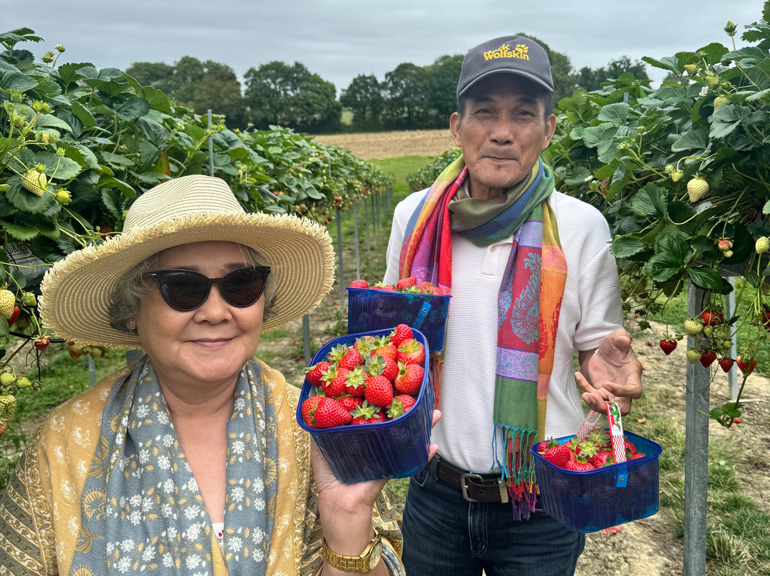 Lower Ladysden Farm-Goudhurst必去景点