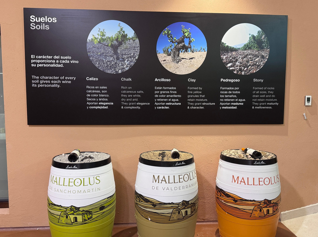 Emilio Moro Bodegas-Pesquera de Duero必去景点