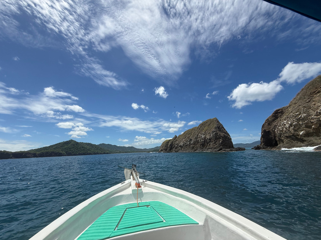 Matt's Fishing & Tours-萨迪纳尔必去景点