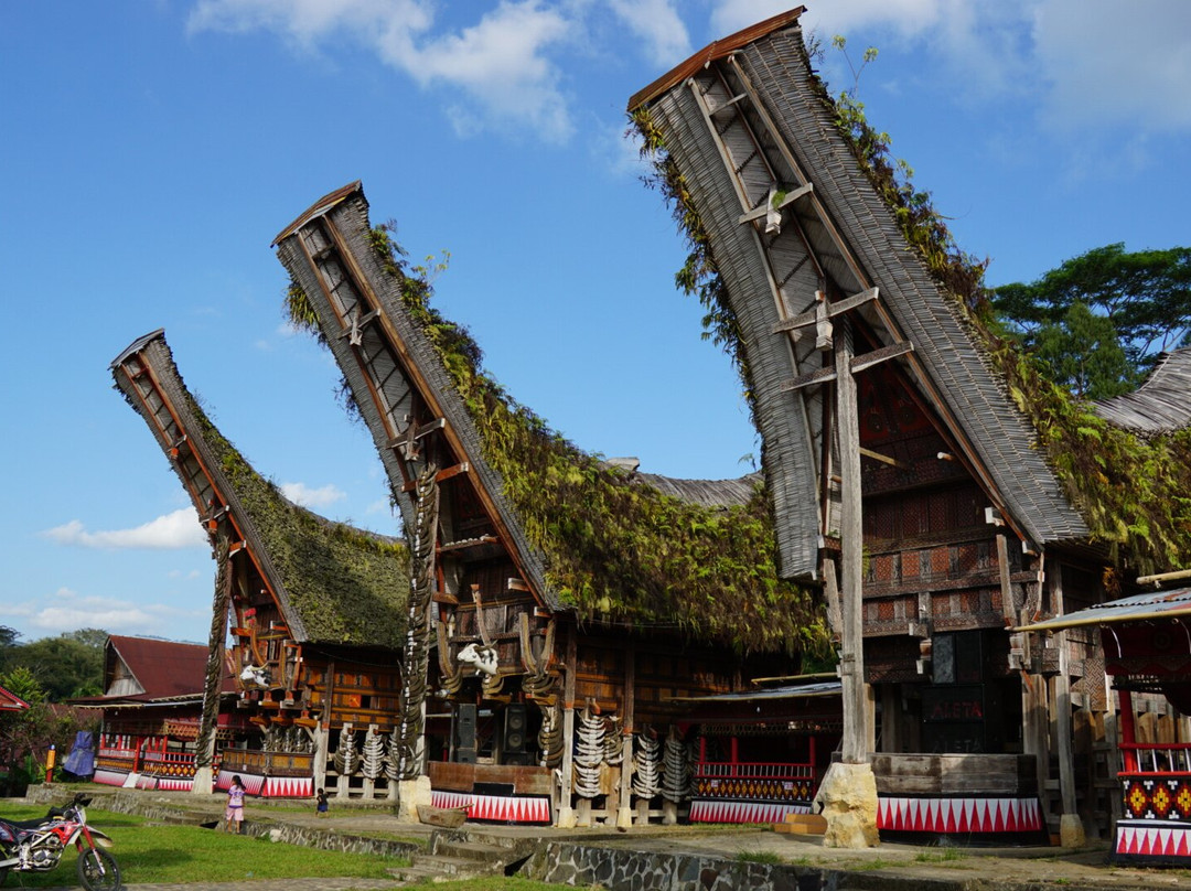Toraja local guide-Tana Toraja必去景点