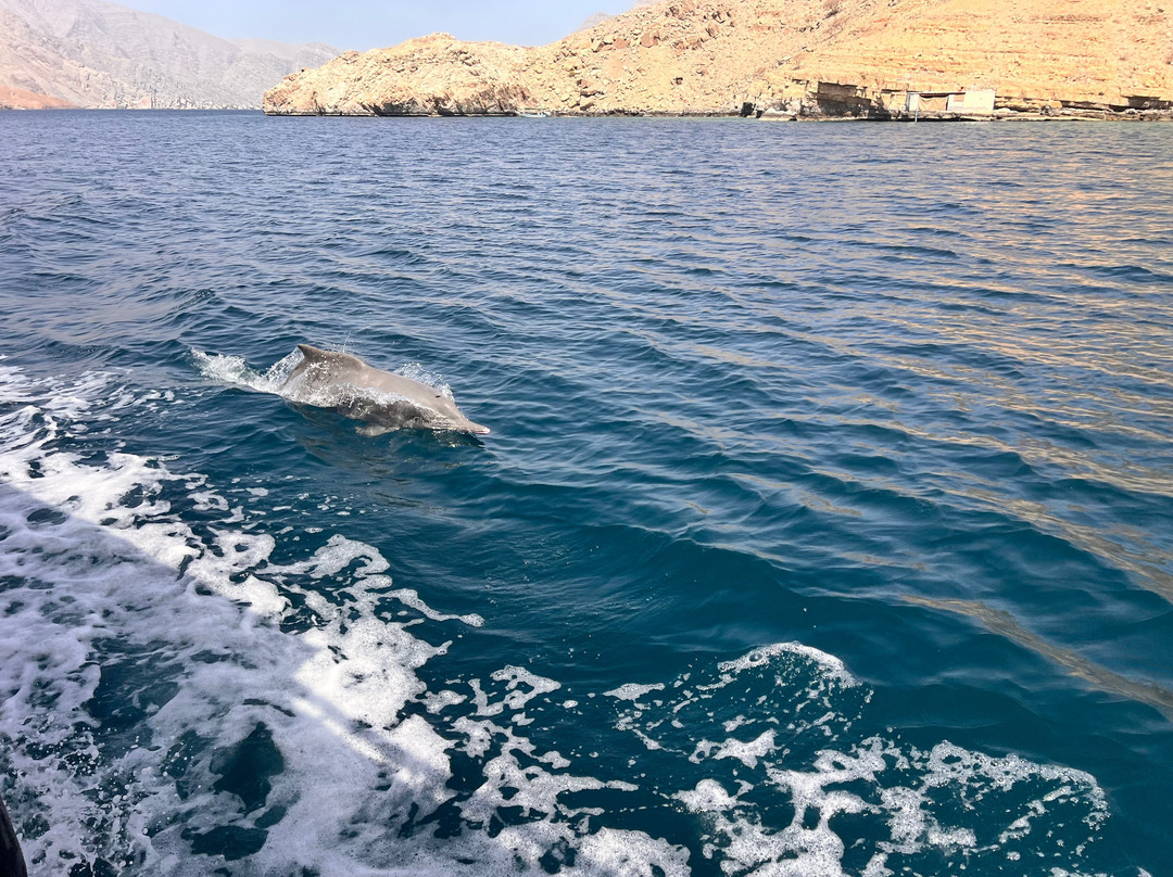 Khasab Sea Tours-海塞卜必去景点