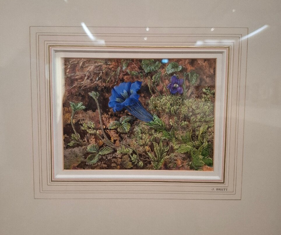 Williamson Art Gallery & Museum-Birkenhead必去景点