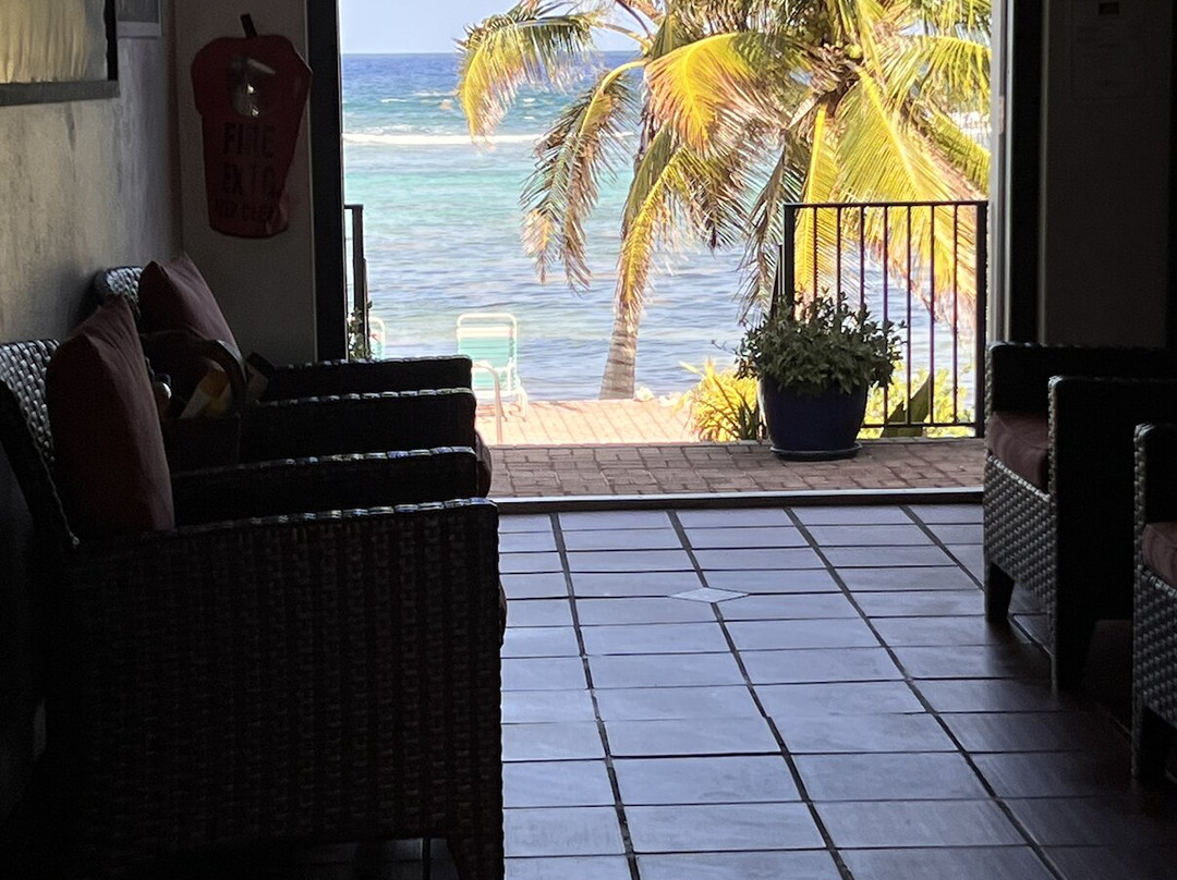 Turtle Nest Inn主图