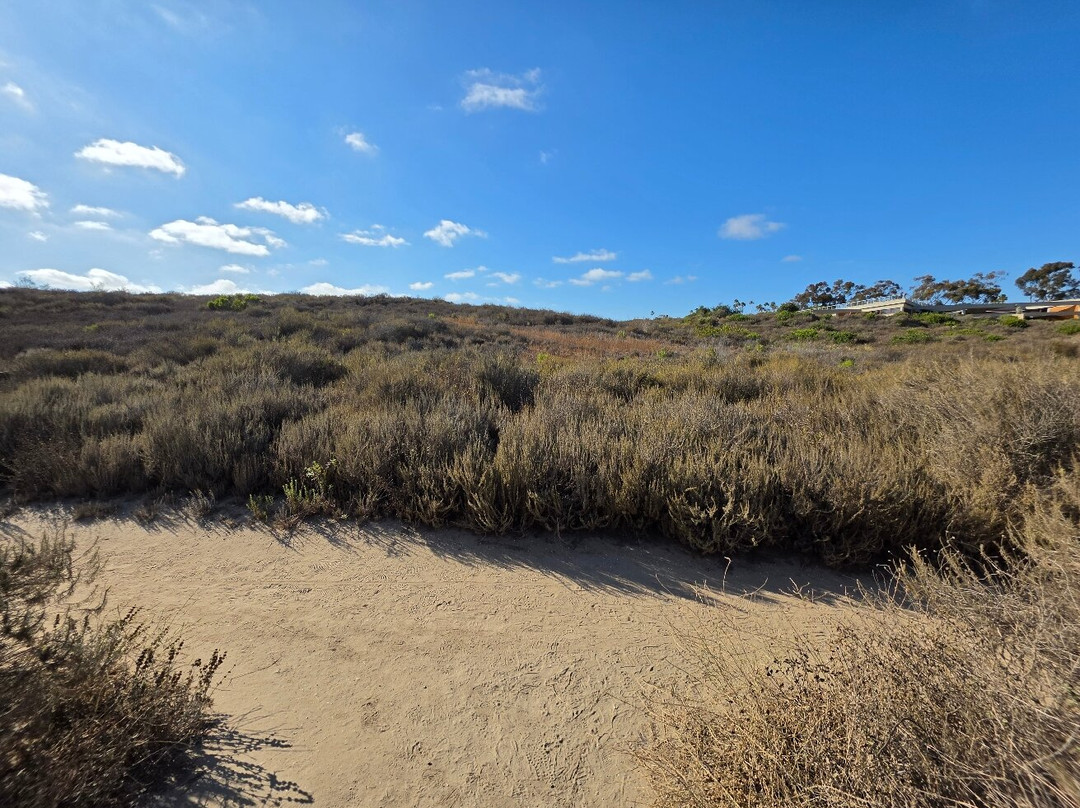 Upper Newport Bay Nature Preserve-纽波特海滩必去景点