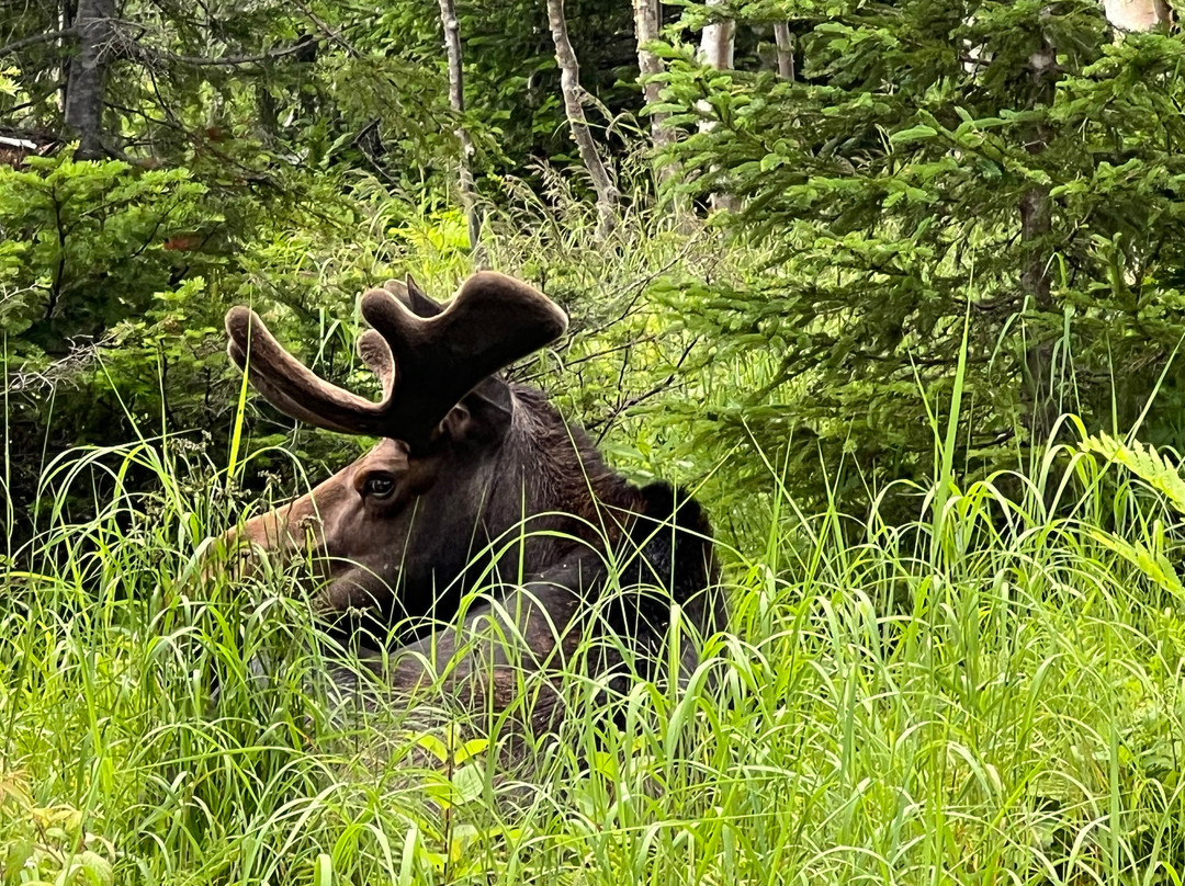 Parc National de la Gaspesie-Sainte Anne des Monts必去景点
