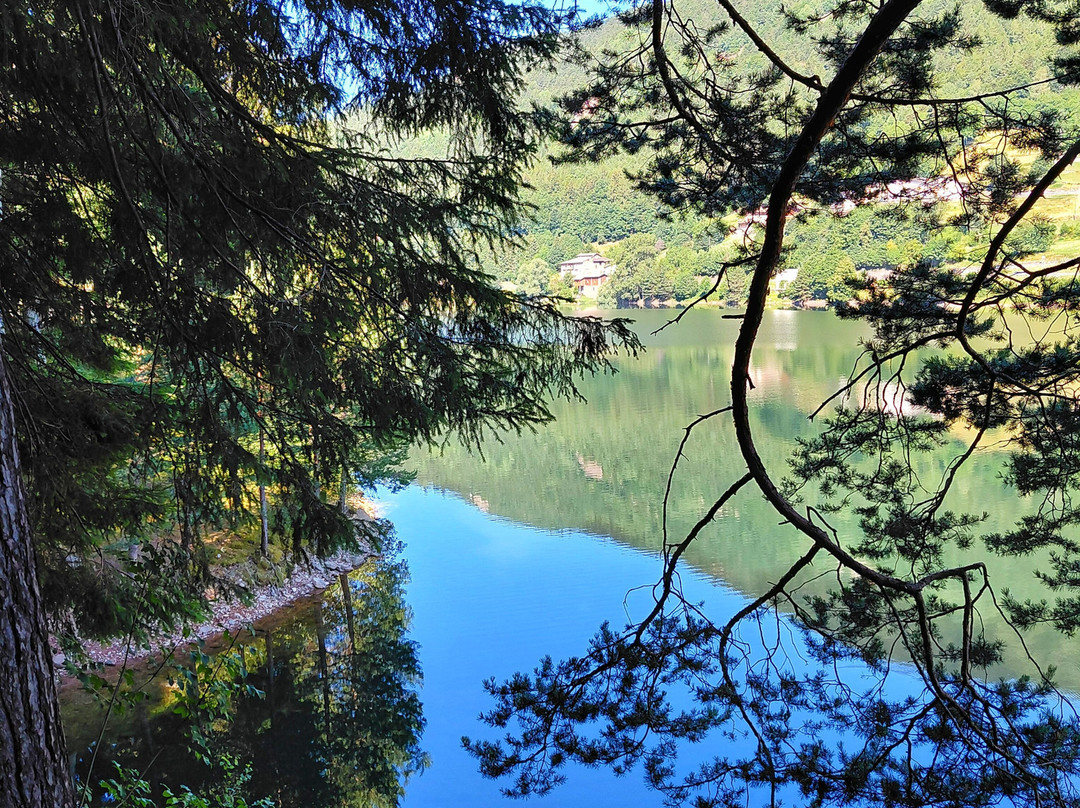 Active Hotel Pineta & Camping主图