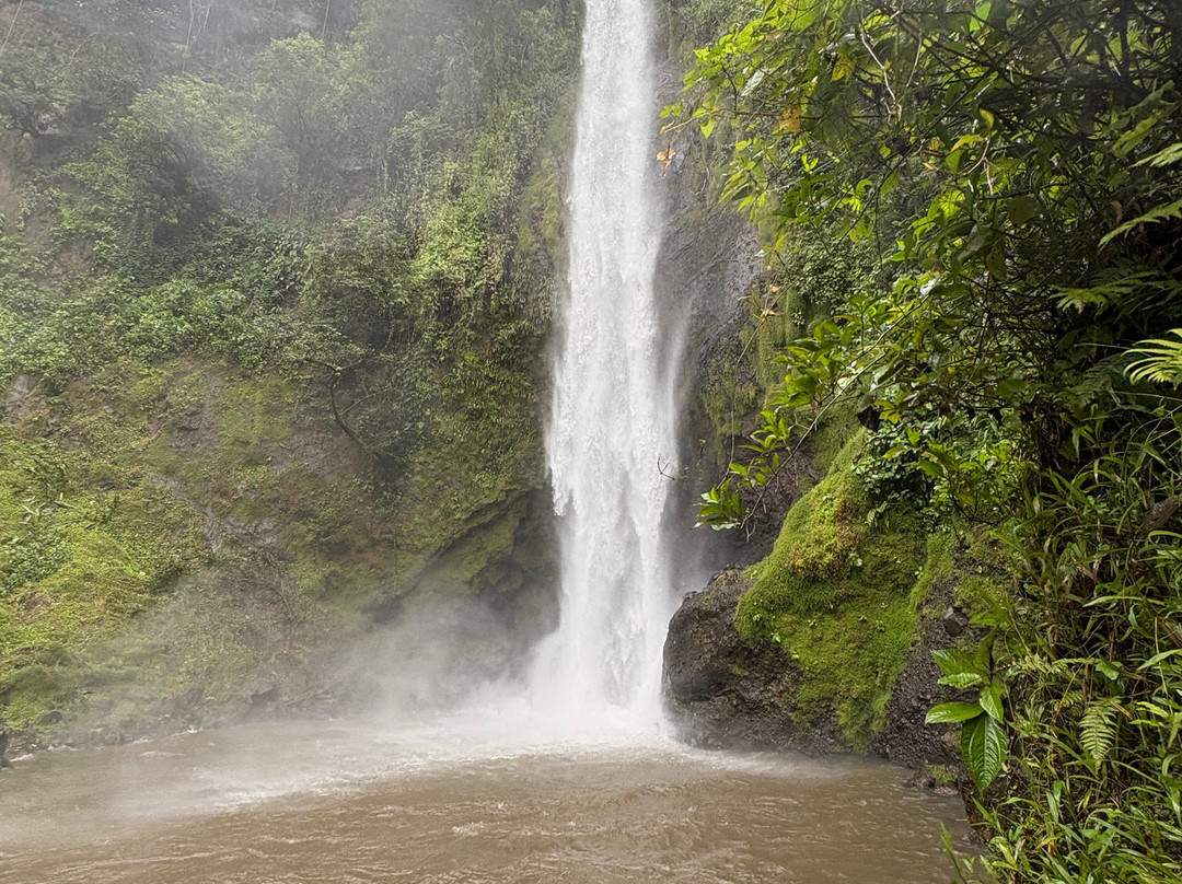 Manakin Waterfalls Nature Reserve.-Tilaran必去景点