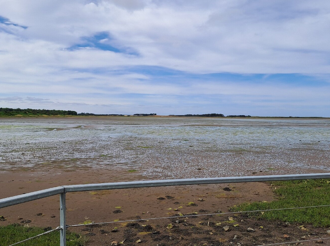 Budle Bay-Waren Mill必去景点