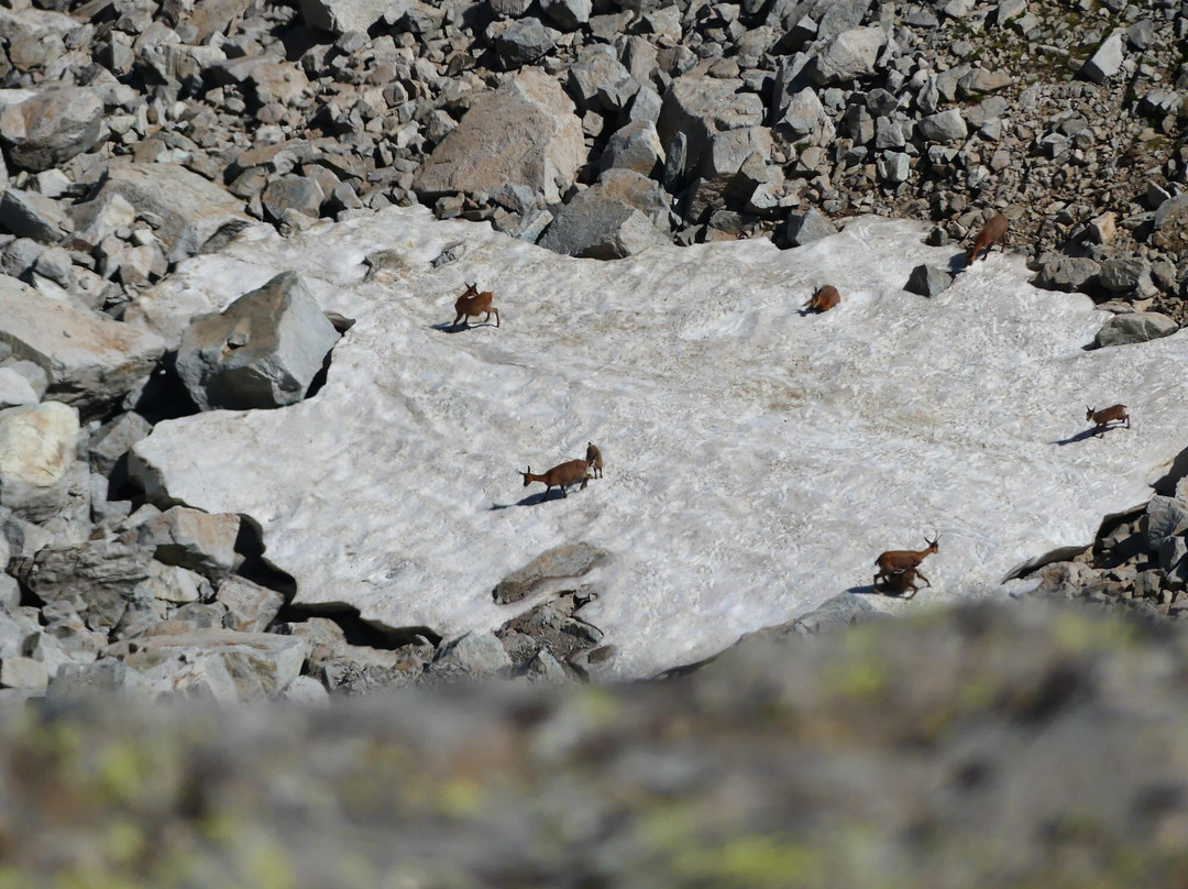 Senderos Ordesa-Ordesa y Monte Perdido National Park必去景点