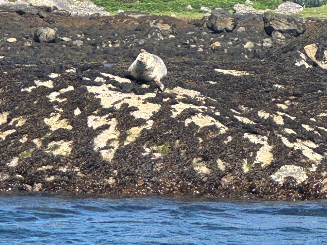 Kylesku Boat Tours-Kylesku必去景点
