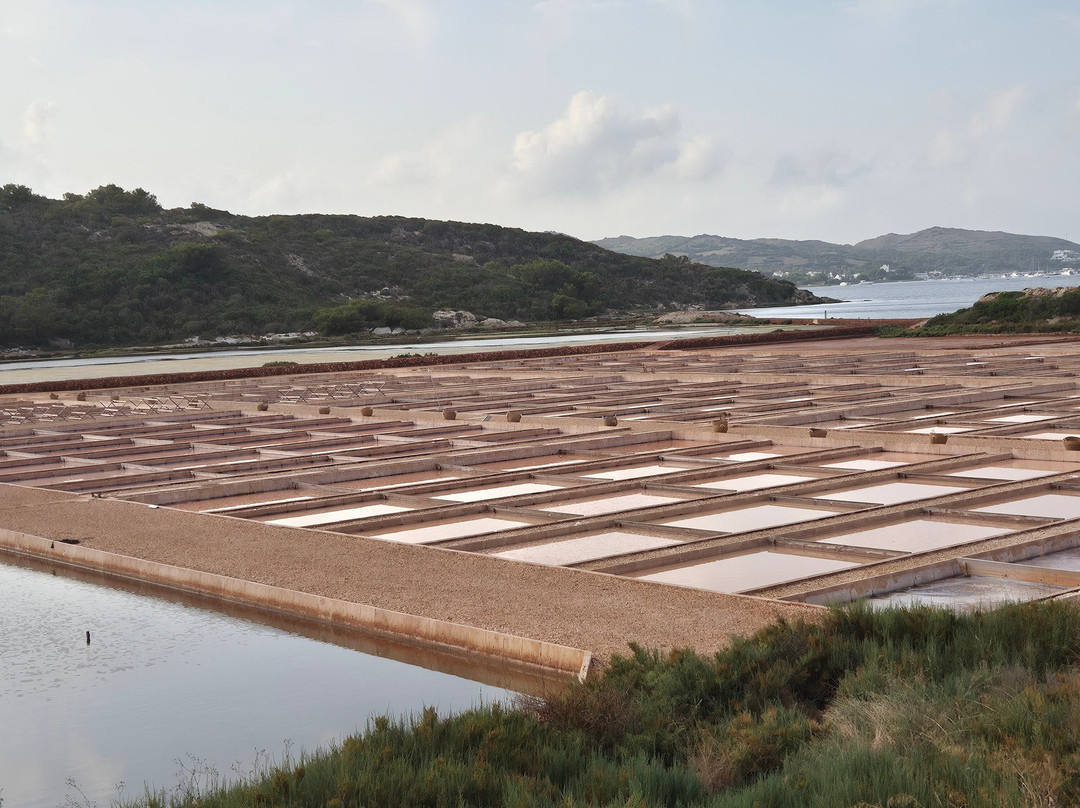 Sal de Menorca - Salinas de La Concepción-Mercadal必去景点