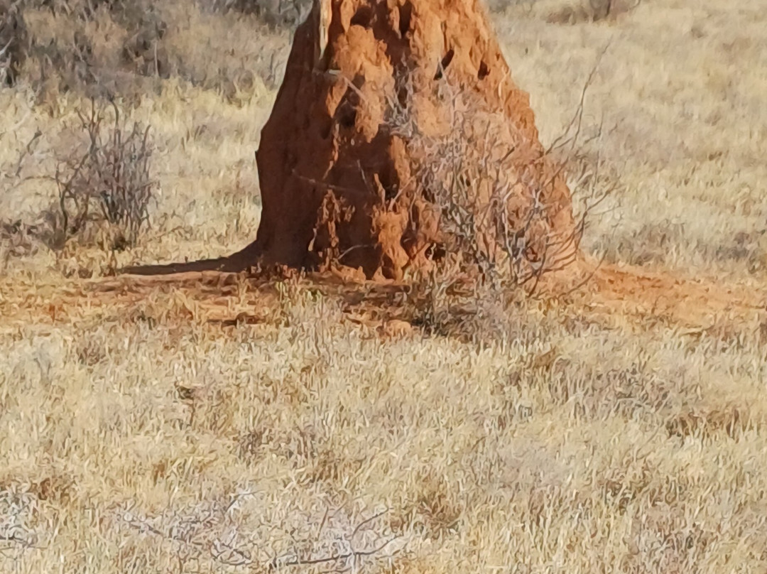 Samburu National Reserve-内罗毕必去景点
