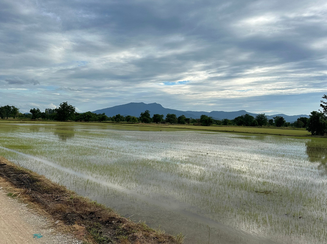 Sukhothai Bicycle Tour-素可泰必去景点