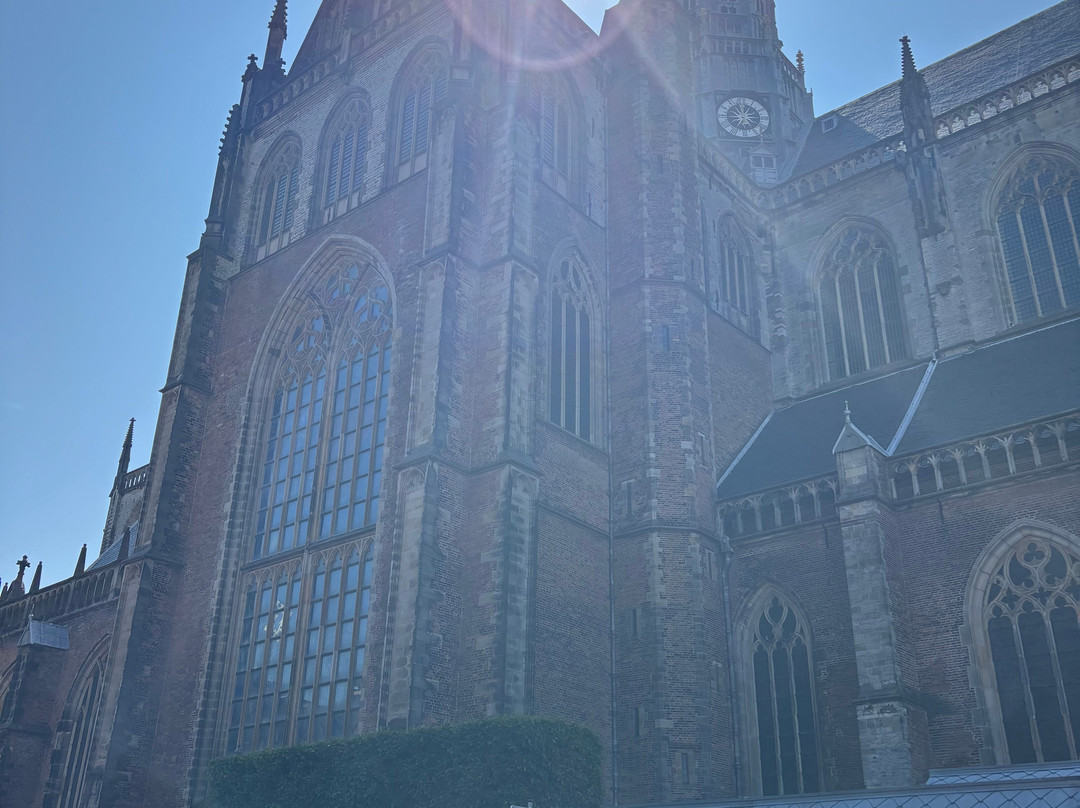 Zaterdagmarkt Haarlem-哈勒姆必去景点