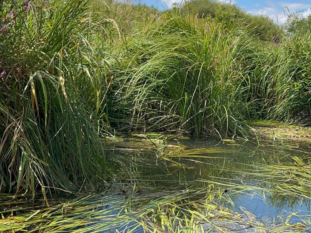 Pulborough Paddles-Pulborough必去景点