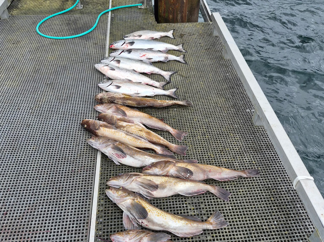 Rumble Beach Fishing Charters-Port Alice必去景点