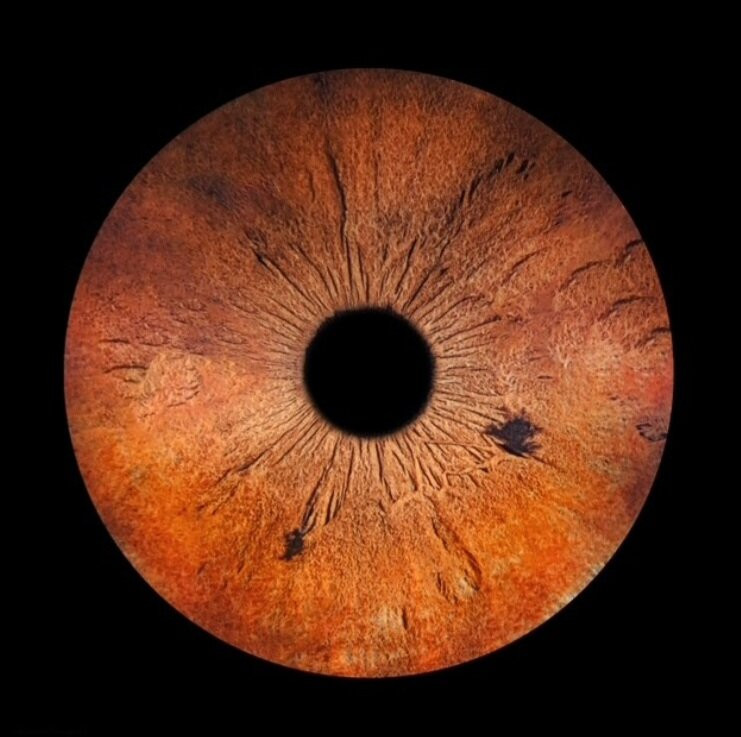 Iris Galerie Groningen-格罗宁根省必去景点