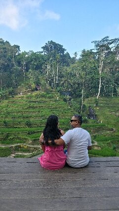 Best Ubud Driver-乌布必去景点