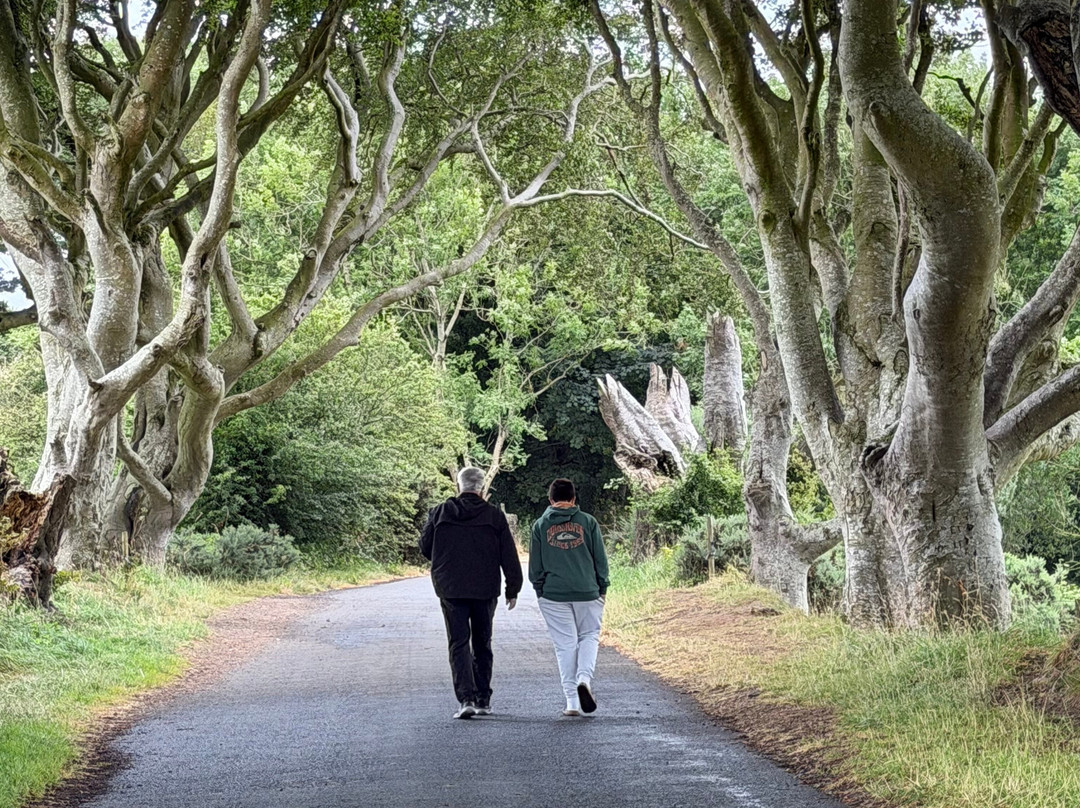 Executive Tours Ireland-利默里克必去景点