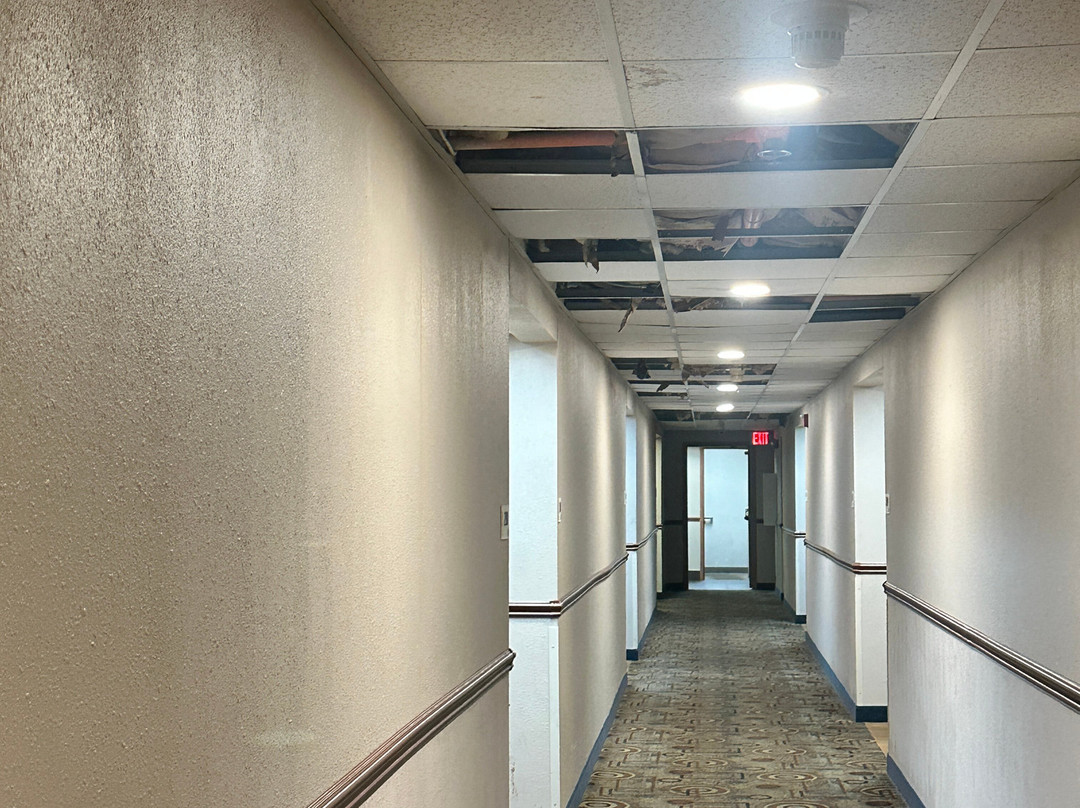 奥法隆温德姆速8酒店主图