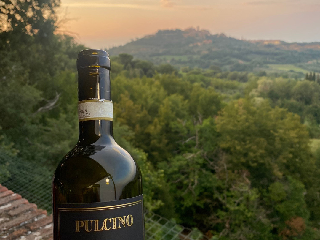 Fattoria Pulcino-蒙特普尔恰诺必去景点