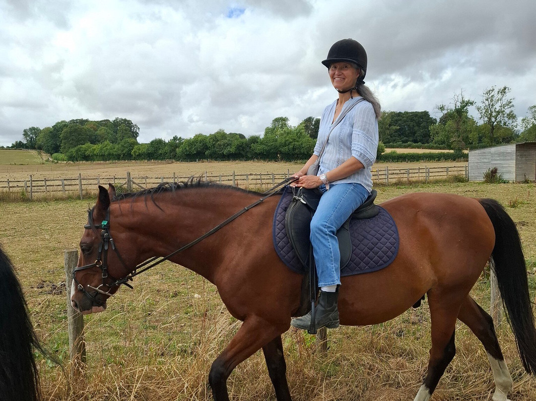 Bourton Vale Equestrian Centre-水上伯顿必去景点