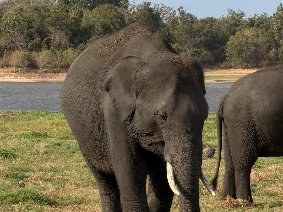 Amazing Travels & Tours Sri Lanka-科奇克德必去景点