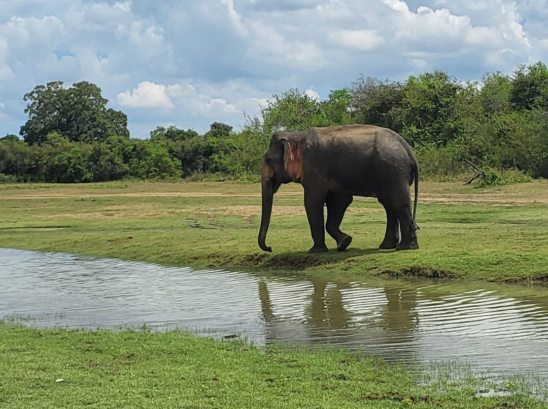 PSJ Tours Sri Lanka