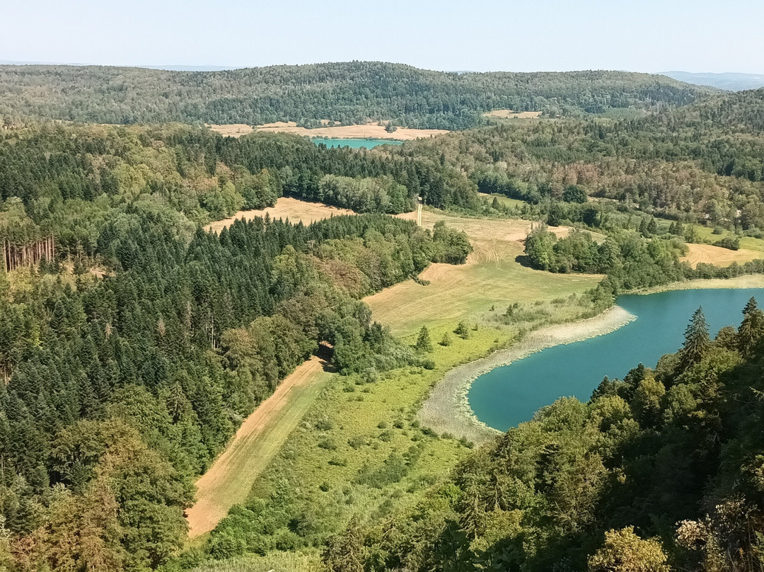 Belvedere des Quatre Lacs-La Chaux-du-Dombief必去景点