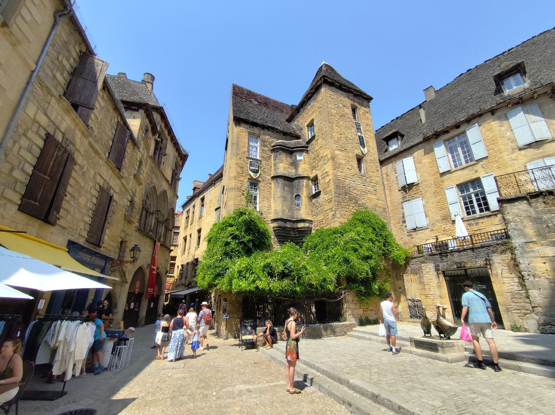 Vieux Sarlat-萨尔拉必去景点